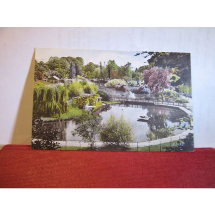 THE POND, ZOOLOGICAL GARDENS, DUBLIN, IRELAND. used postcard 1952 pm =