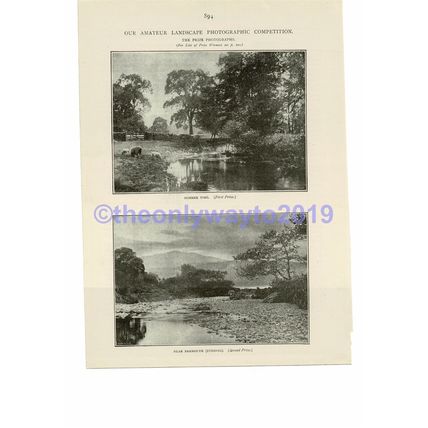Summertime & Near Barmouth, Printed Photos, Book Illustration (Print), c1893