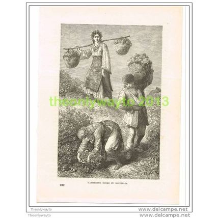 GATHERING ROSES IN ROUMELIA (GREECE, BULGARIA, TURKEY), Book Illustration c1890