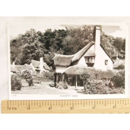 old b/w postcard Selworthy Green