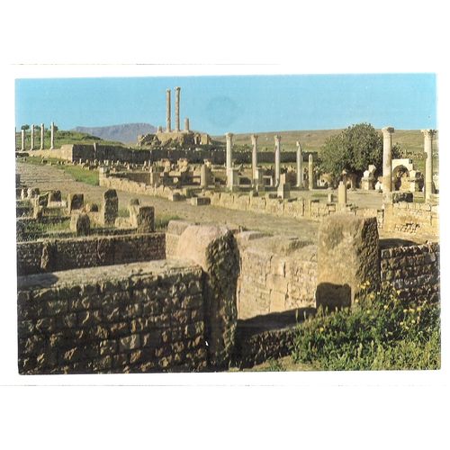 TIMGAD, ALGERIA...Sertius Market vintage unused postcard. =