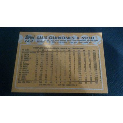 1988 Topps Card # 667 Luis Quinones Excellent (5) Chicago Cubs