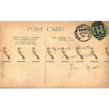 Long Walk, Knaresborough, Yorkshire, 15331 Wrench Postcard, 1906