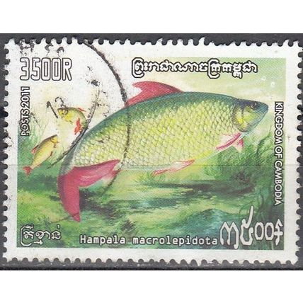 Cambodia 2011 Poisson Hampala macrolepidota O Cachet rond
