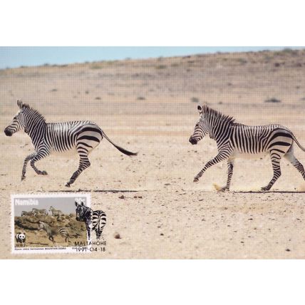 Hartmanns Mountain Zebra Rare Africa Namibia WWF Stamp FDC Postcard