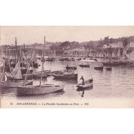 Douarnenez La Flottille Sardiniere Au Port Antique Rare French Postcard