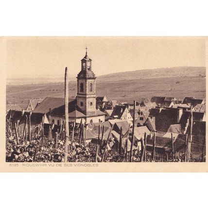 Riquewihr Vu De Ses Vignobles Antique French Aerial Postcard