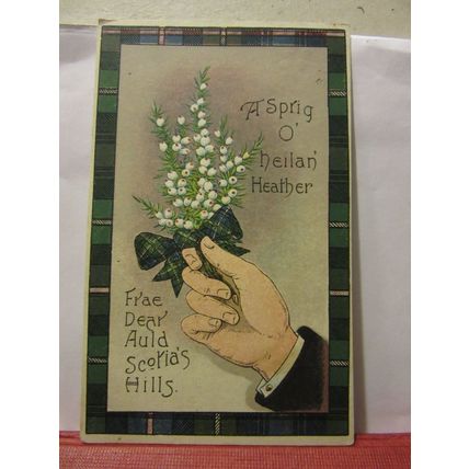 SCOTTISH a sprig of heilan' HEATHER used antique postcard 1917 pm /