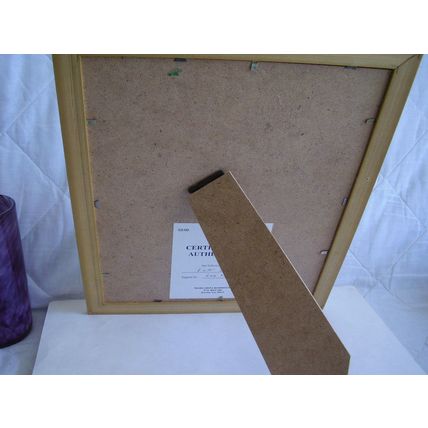 Vintage Autograph Lee Majors Framed Photo Six Million Dollar Man Series + COA
