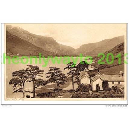 TAL-Y-LLYN LAKE, WALES, Photochrom Postcard 1940/50s?
