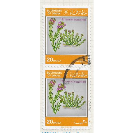 OMAN 1982 PLANTS Teucrium mascatense BOISS JADA MEDICINE MEDICINAL 20B VERT PAIR