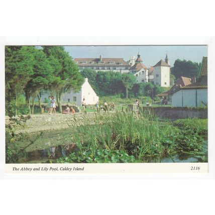 The Abbey & Lily Pool Caldey Island Postcard Pembrokeshire 2116