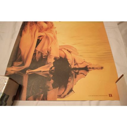 Stevie Nicks Promo Poster-TROUBLE IN SHANGRI-LA