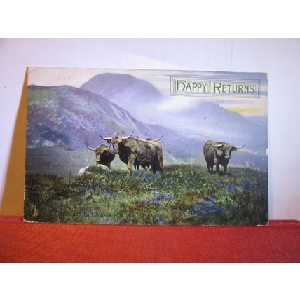 IN THE HIGHLANDS, SCOTLAND used antique postcard R. Tuck Photochrome 1907 pm #