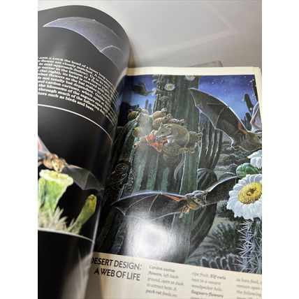National Geographic Magazine June 1991 Europe’s Dark Dawn Vintage Collectable