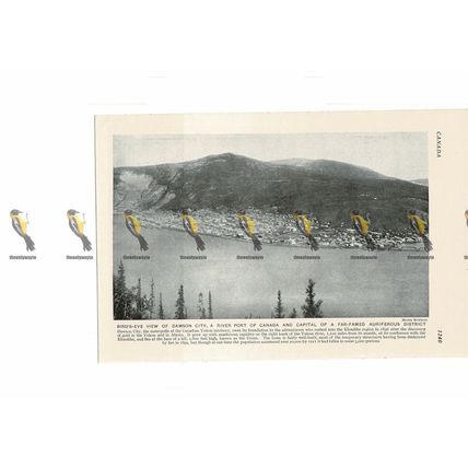 Dawson City, Yukon, Canada, Book Illustration, c1920