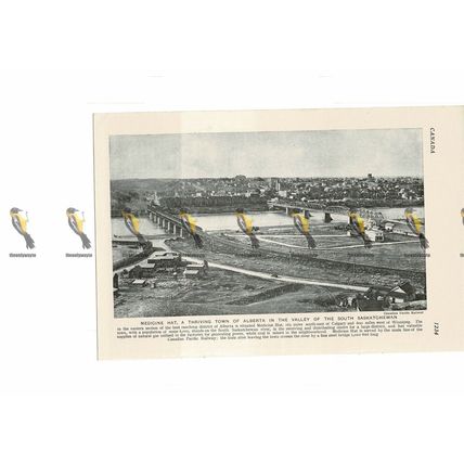 Medicine Hat, Alberta, Canada, Book Illustration, c1920