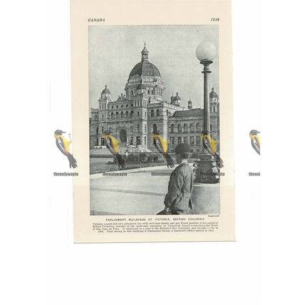 Parliament Buildings, Victoria, BC, Canada, Book Illustration, c1920