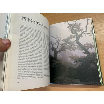 1983 "HEATHER ANGEL'S COUNTRYSIDE" PHOTO ILLUSTRATED HARDBACK BOOK (P5)