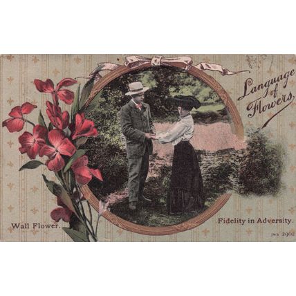 Language Of Flowers Wall Flower Fidelity In Adversity Postcard