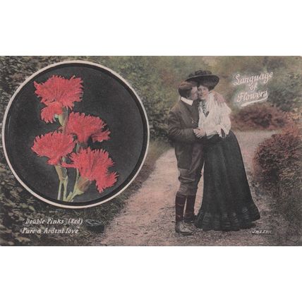 Language Of Flowers Double Pinks Pure & Ardent Love Old Postcard
