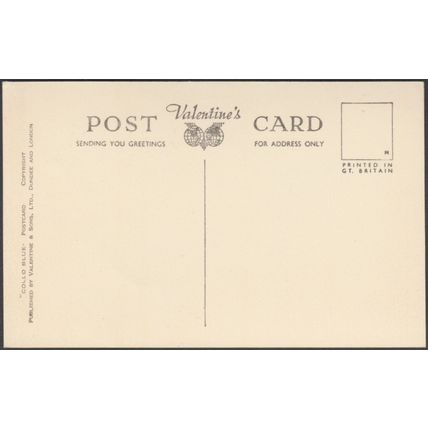 Boscastle from the Harbour, Cornwall, c.1955 - Valentine's Collo Blue Postcard