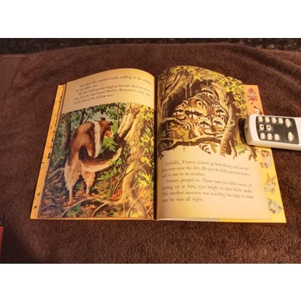 Little Golden Book Lassie & The Lost Explorer By Leon Lazarus (A) Edition 1958