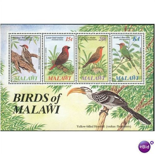 Malawi stamps 1985 - SG MS737 - Souviner sheet - Birds Of Malawi