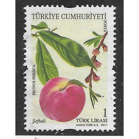 TKY 2011 1YTL 'FRUITING TREES' FINE USED (EBID53-166)