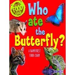Who Ate The Butterfly A Rainforest Food Chain Follow The Food Chain