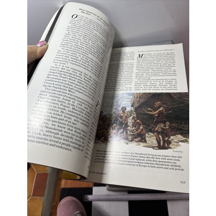 National Geographic Magazine Nov 1985 Search for Early Man - Vintage Collectable