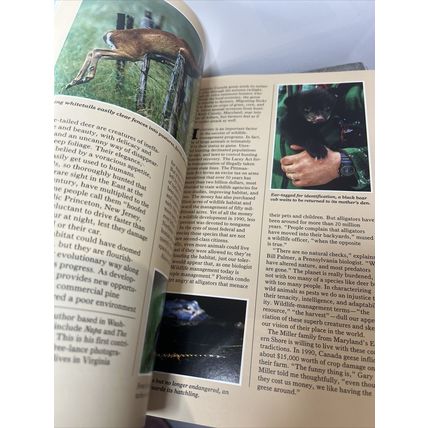 National Geographic Magazine Feb 1992 Eastern Wildlife - Vintage Collectable y