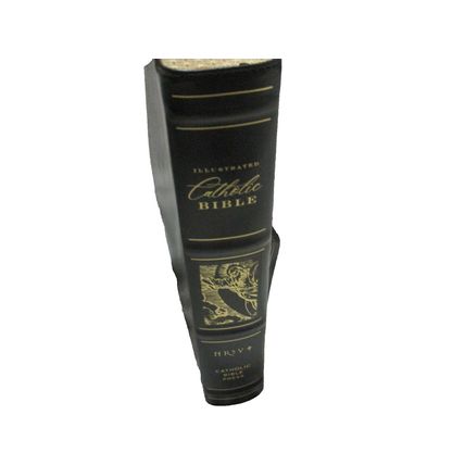 NRSVCE Illustrated Catholic Bible, Leathersoft, Black, Comfort Print Holy Bible
