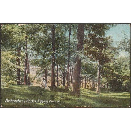 Ambresbury Banks, Epping Forest, Essex, 1908 - Wildt & Kray Postcard
