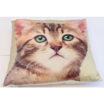 Tabby Kitten Cushion Decorative Photostyle 40 CM Home Decor Feline Pet Gift Meow