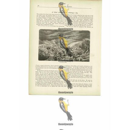 Arctic Scene, Behring's Sea, Book Illustration (Print), c1880