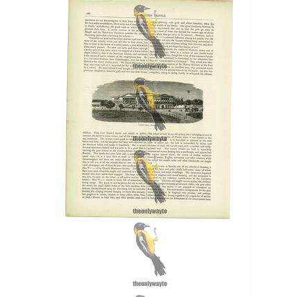 Town Hall, Bombay (Mumbai), India, Book Illustration (Print), c1880