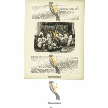 Cotton Store, Bombay (Mumbai), India, Book Illustration (Print), c1880