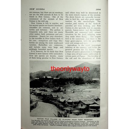 Fishing, Eissano & Parimau Village, Papua (Elavora, Reverse), Book Illustration