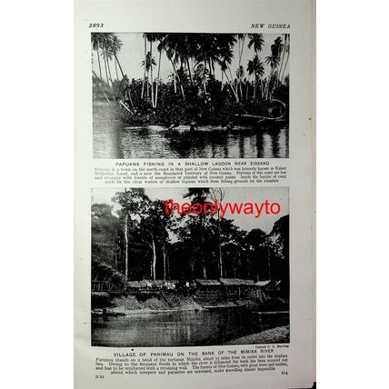 Fishing, Eissano & Parimau Village, Papua (Elavora, Reverse), Book Illustration