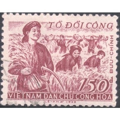 Vietnam (North) 1958 - SG N95 - 150d lake - Harvesting Rice - used