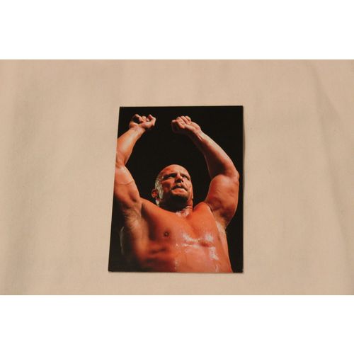 1998 Comic Images WF Superstaz Promo 1