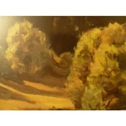ROBERT EMMETT OWEN 1985 VOSE GALLERIES ART EXHIBITION III CATALOGUE PRINTS