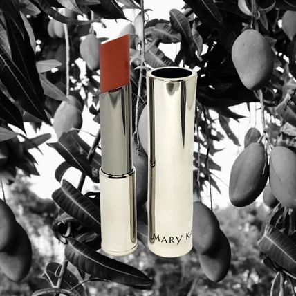 Exotic Mango - Mary Kay True Dimensions Lipstick - Discontinued - Rare!