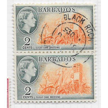 BARBADOS 1953 QE2 2c SUGAR CANE BREEDING USED SG290 PAIR BLACK ROCK PMK