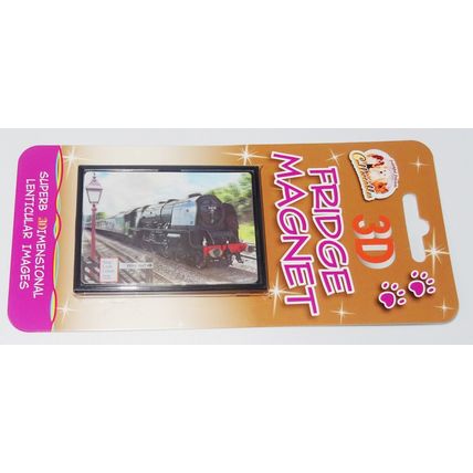 STEAM TRAIN fridge magnets 3D or Antique brass effect 8 choices
