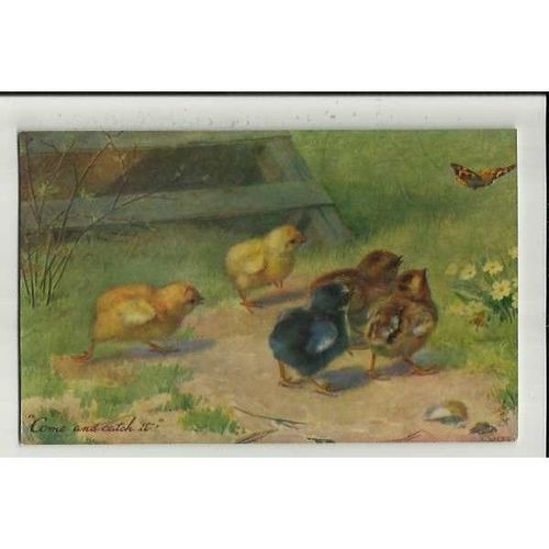 9175 CHICKS AND DUCKLINGS Tuck Oilette Postcard