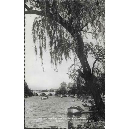 London - Richmond - bridge, 'Spring on the Thames' RP postcard, 1966 pmk