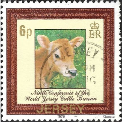 JERSEY, Jersey Calf, brown 1979, 6p