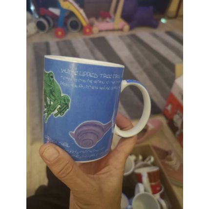 Next Creepy Crawlies Mug